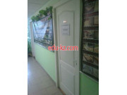 Адвокаты Адвокат Семченко Елена Анатольевна - на портале auditby.su